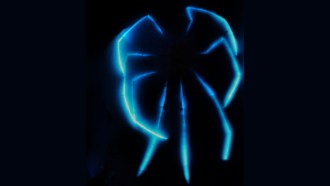 Eight long sea spider legs glow blue in the dark.