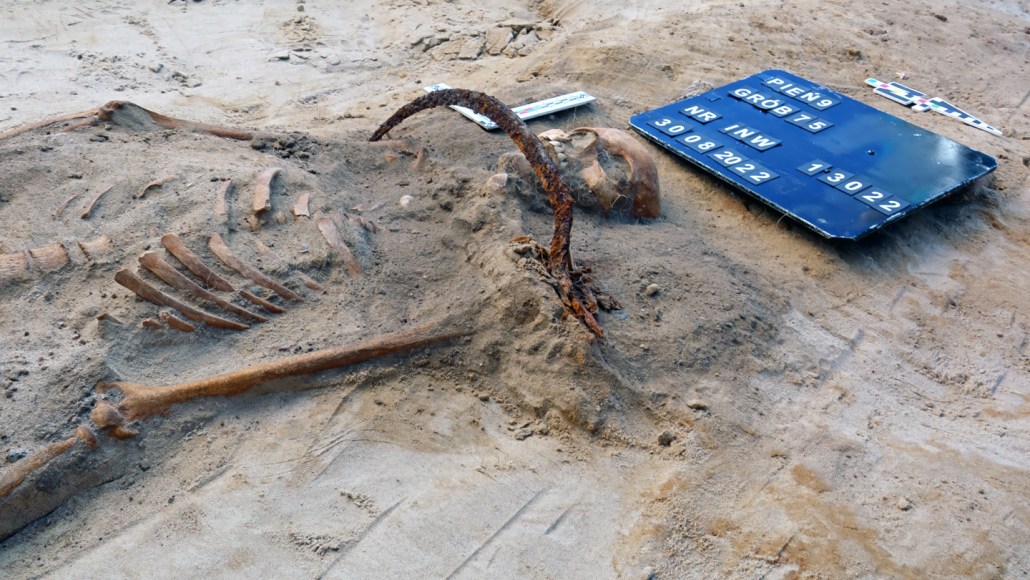 Partially excavated human remains have a sickle blade across the neck. Archaeological markers are placed near the remains.