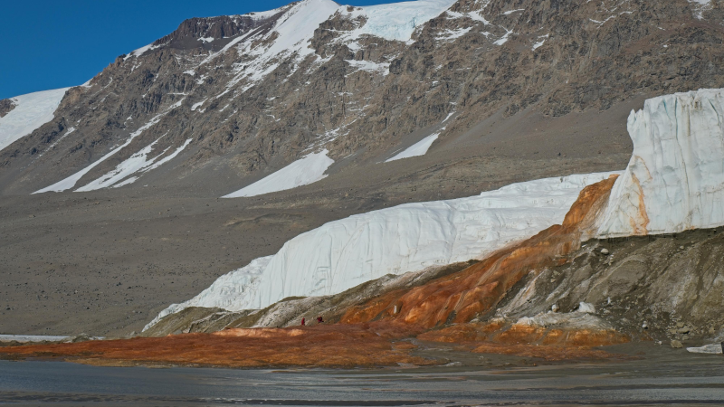 Scientists Say: Blood Falls