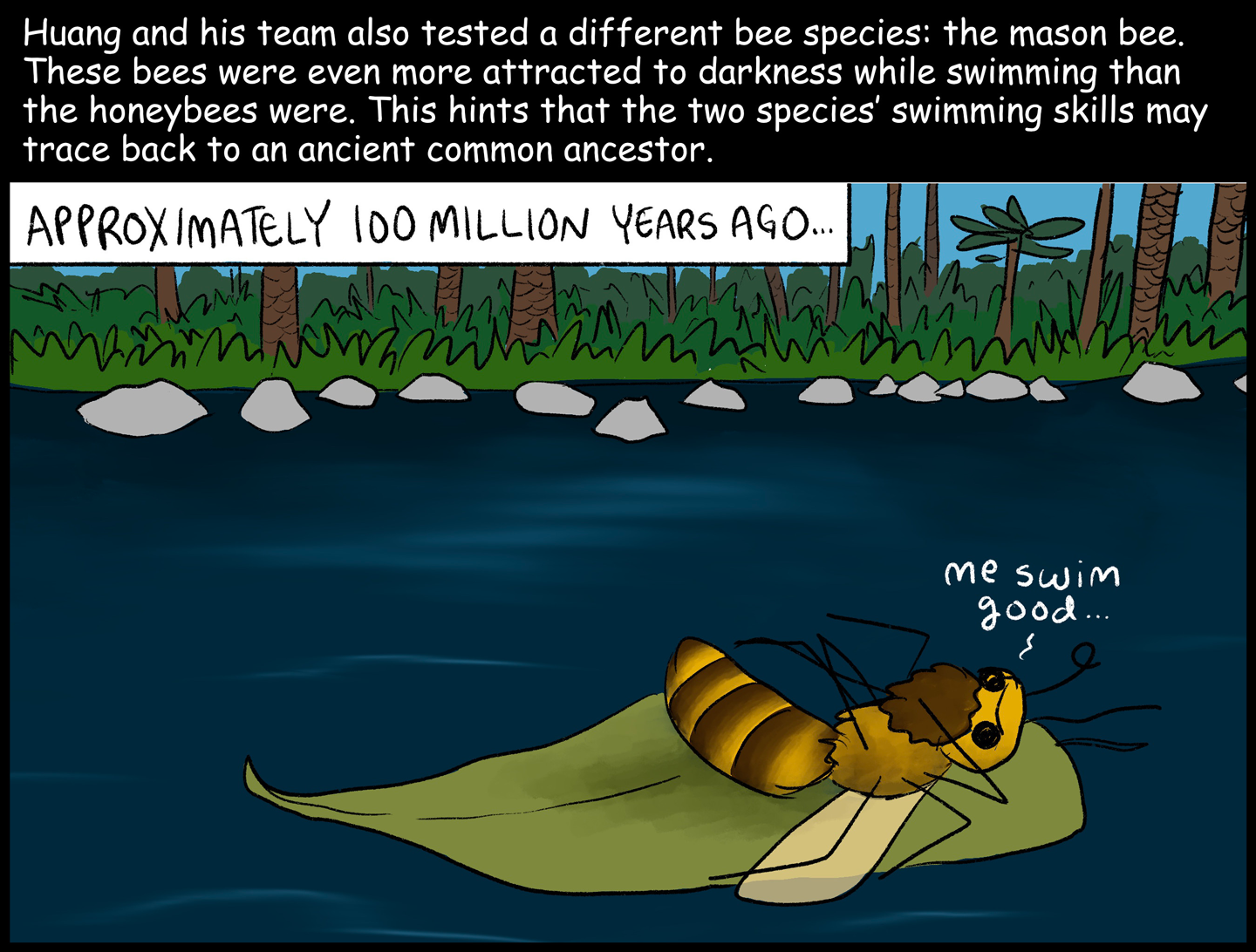  “Me swim good…” 