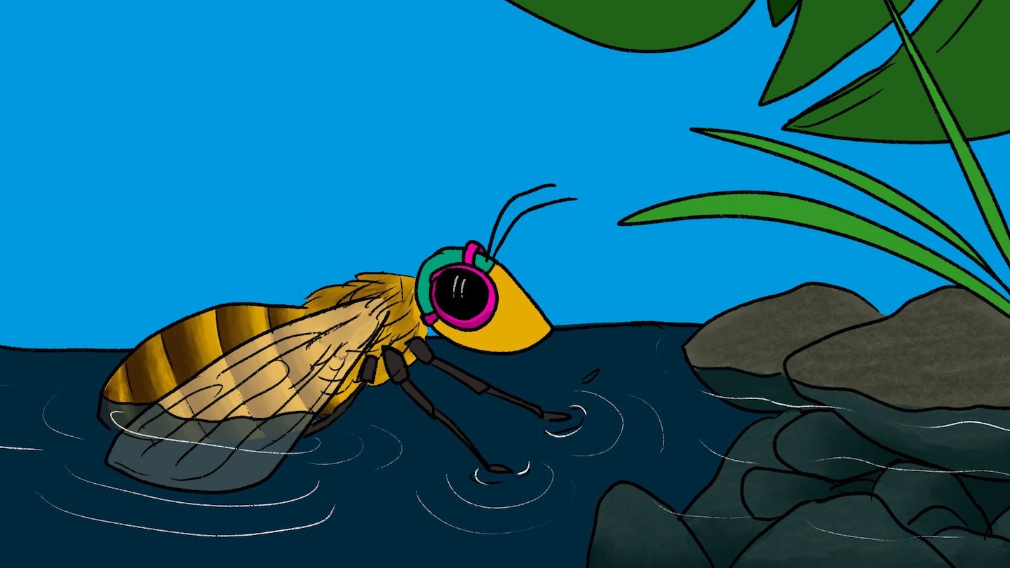 Bees may survive a swim by heading for the dark [COMIC]